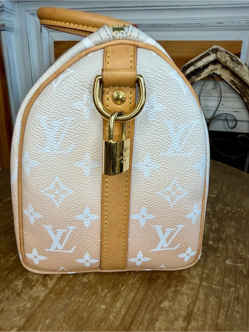 Louis Vuitton Speedy 25 By the Pool in Mist Speedy Bandoulière